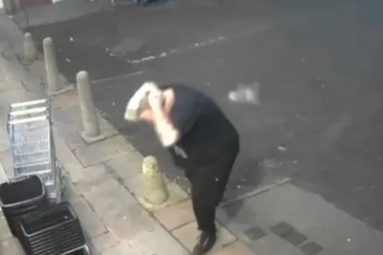 Paloma se impacta en la cabeza de un hombre