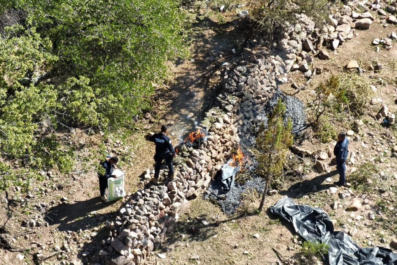 Localizan y destruyen plantíos de marihuana en Parral y Nonoava