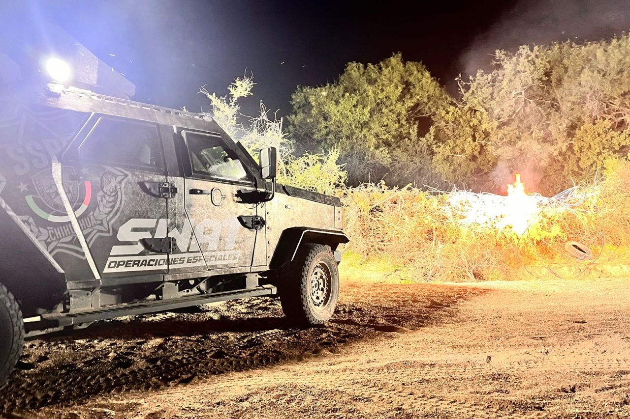 Localizan y destruyen plantíos de marihuana en Parral y Nonoava