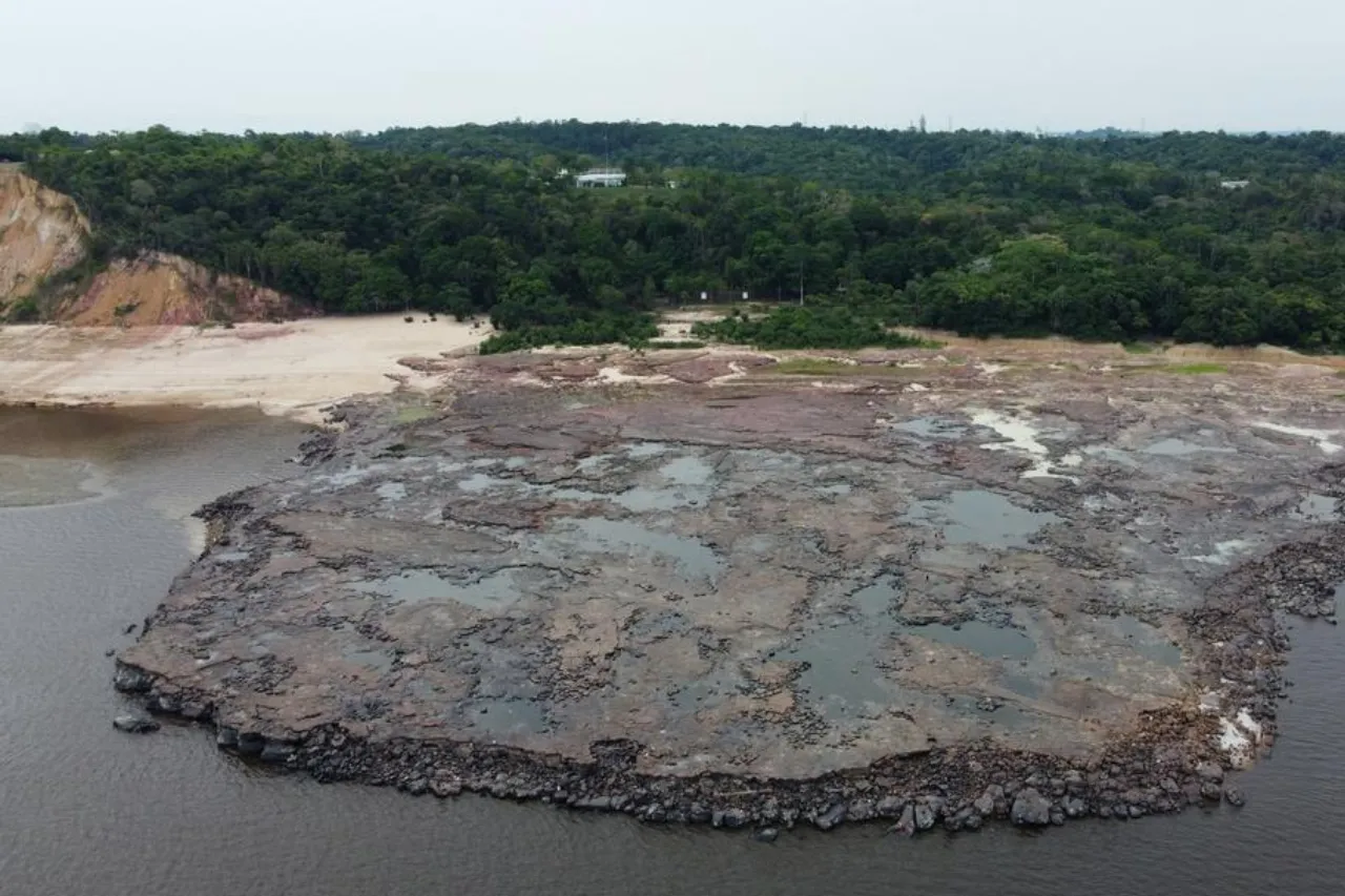 Retrocesos ambientales, la doble cara ambiental de Brasil