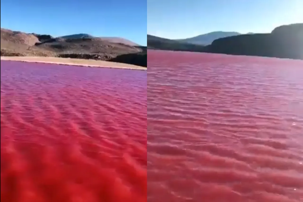 Video: ¿Presagio bíblico? Aguas del río Nilo se tiñen de rojo