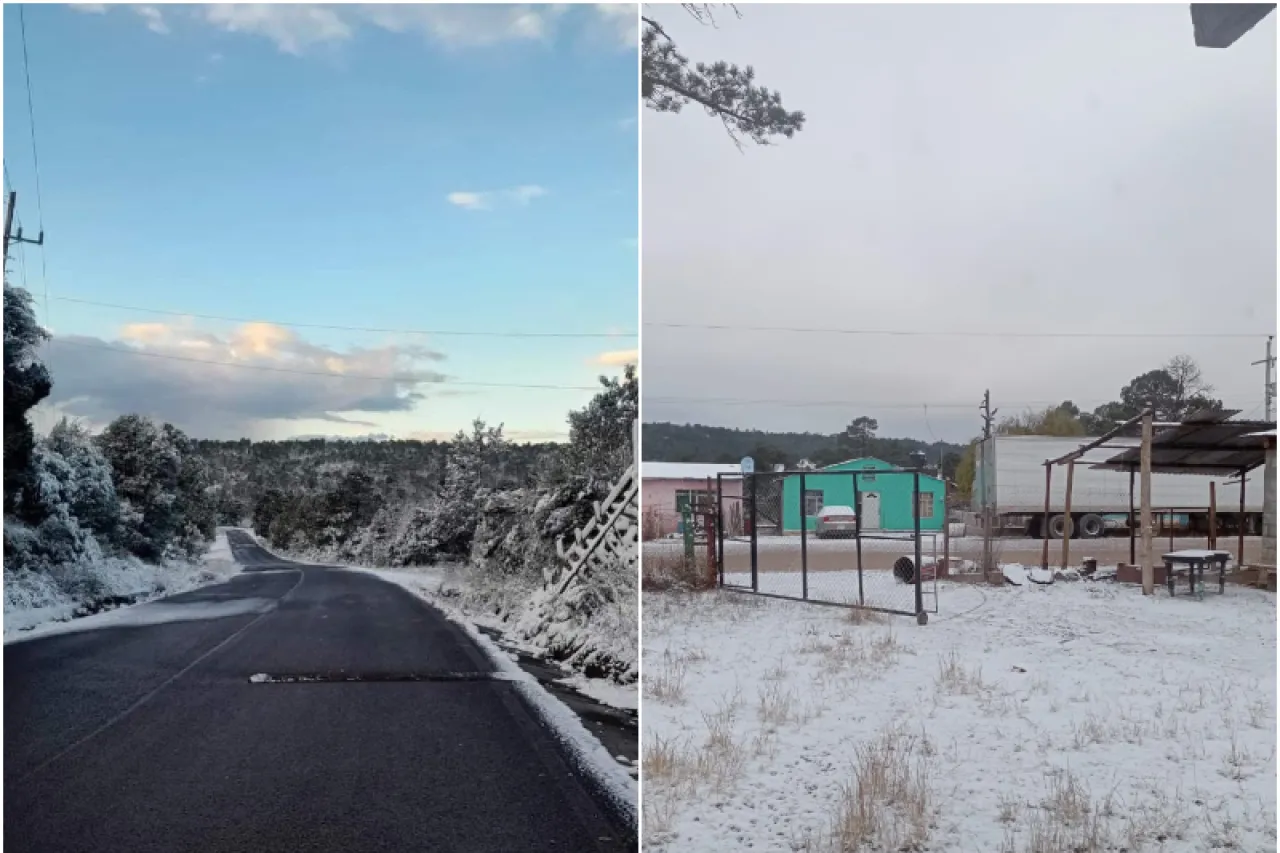 Prevén heladas y temperaturas bajo cero en la Sierra de Chihuahua