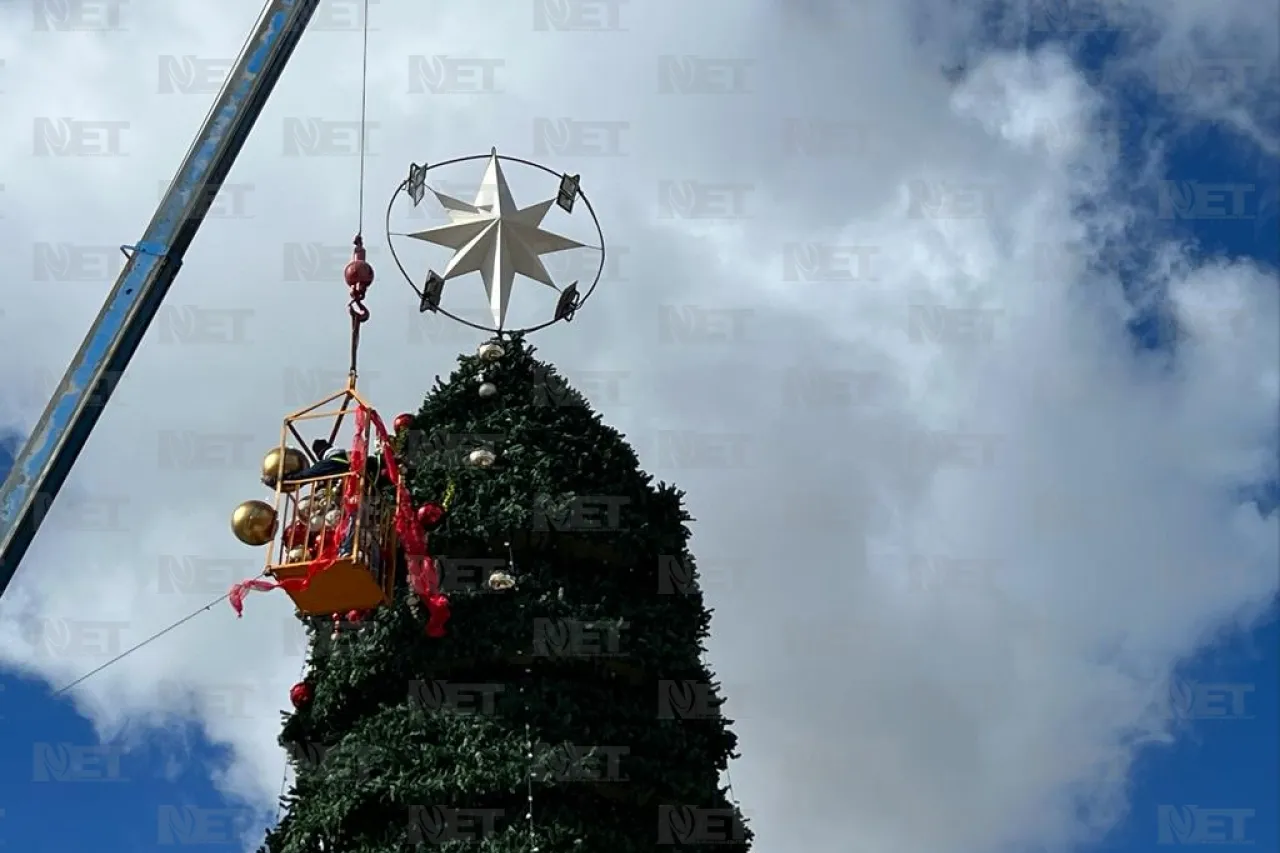 Invitan a encendido del árbol navideño en el Parque Central