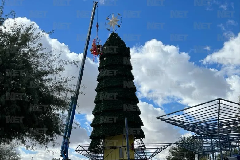 Invitan a encender el árbol navideño del Parque Central