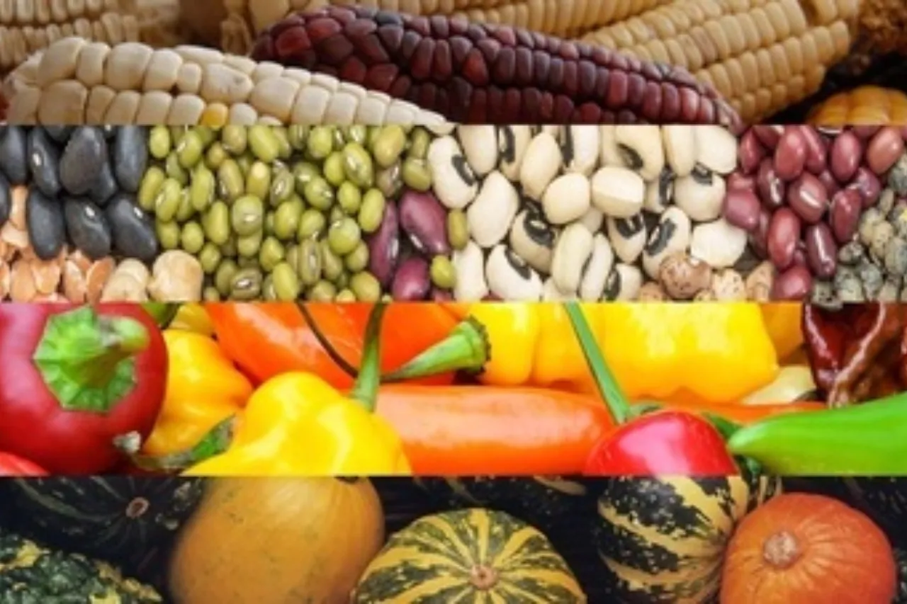 Qué es la Dieta de la Milpa y qué ventajas trae a la salud