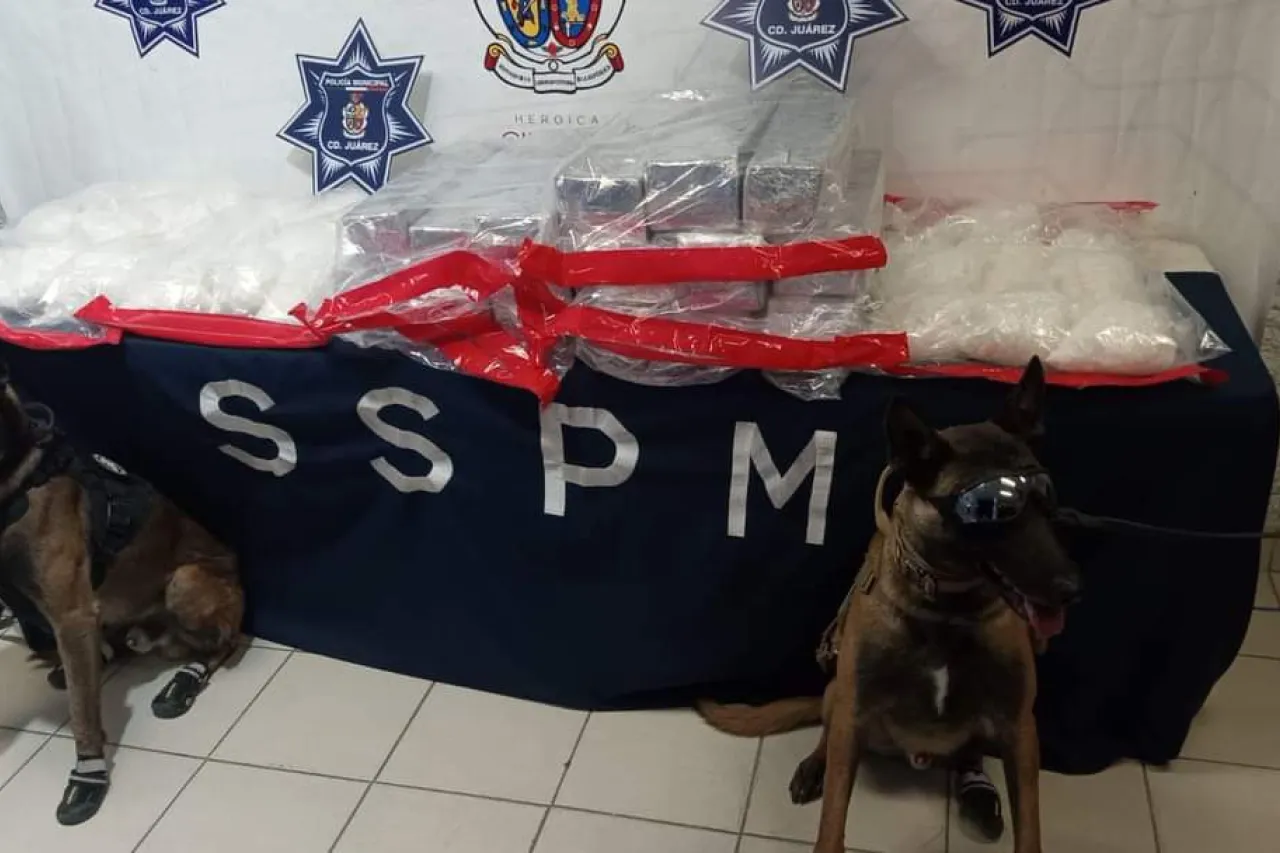 Decomisa SSPM más de 158 kilos de diferentes tipos de droga en diciembre