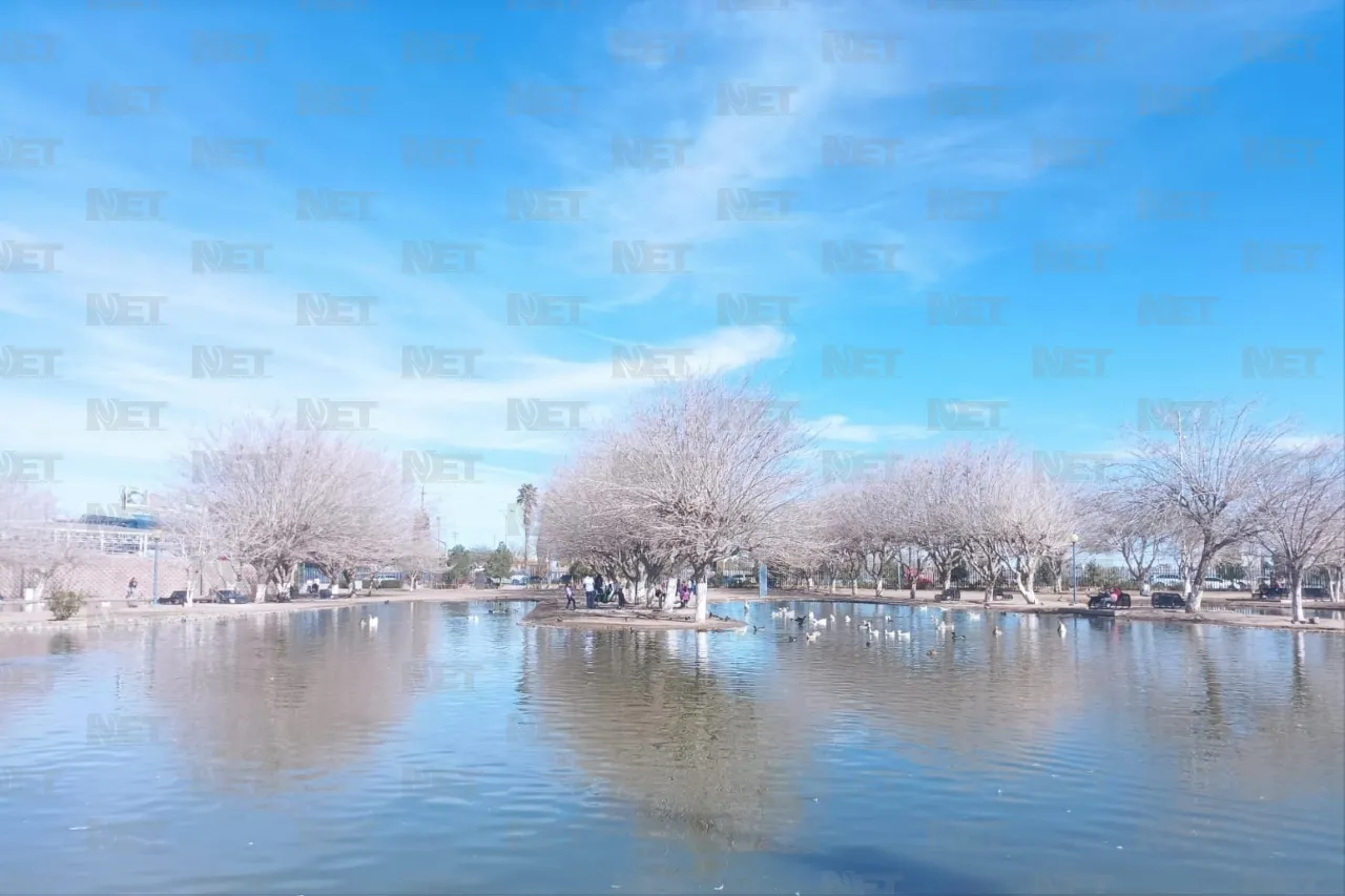 Disfrutan Juarenses De Un Domingo Soleado En El Parque Central