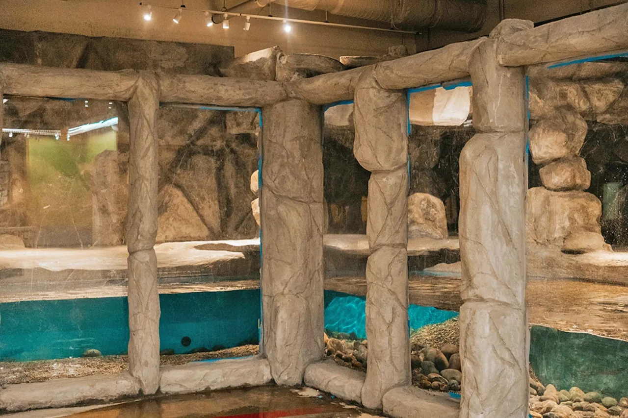 Abrirán la próxima semana el primer acuario interactivo en El Paso