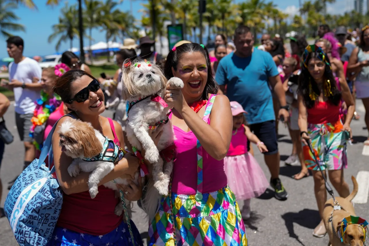 Perros disfrazados participan en el Carnaval de Río