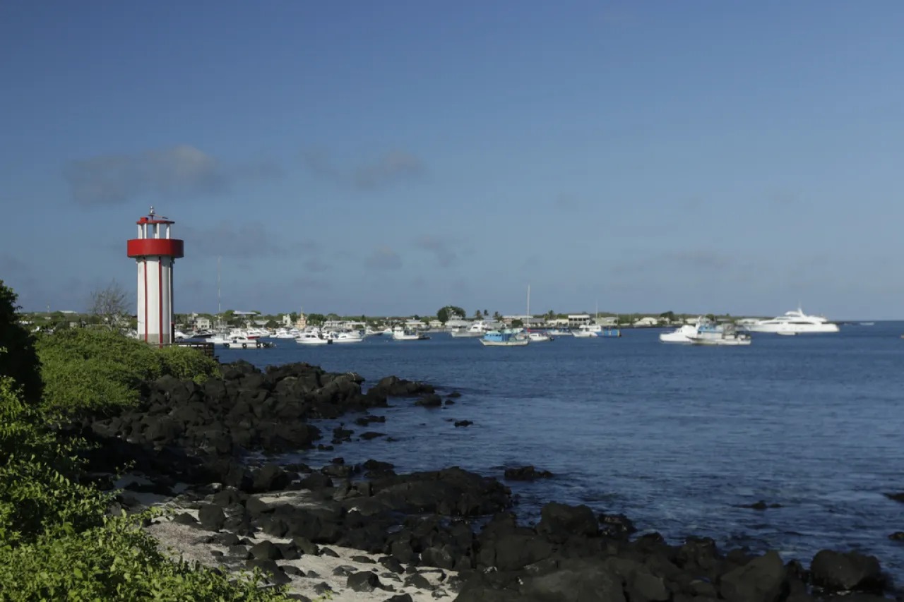Cierran sitios de Galápagos por sospecha de brote de gripe aviar