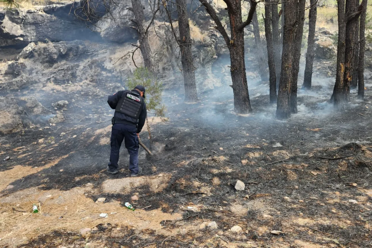 Apoya policía estatal en control de incendios forestales en Bocoyna
