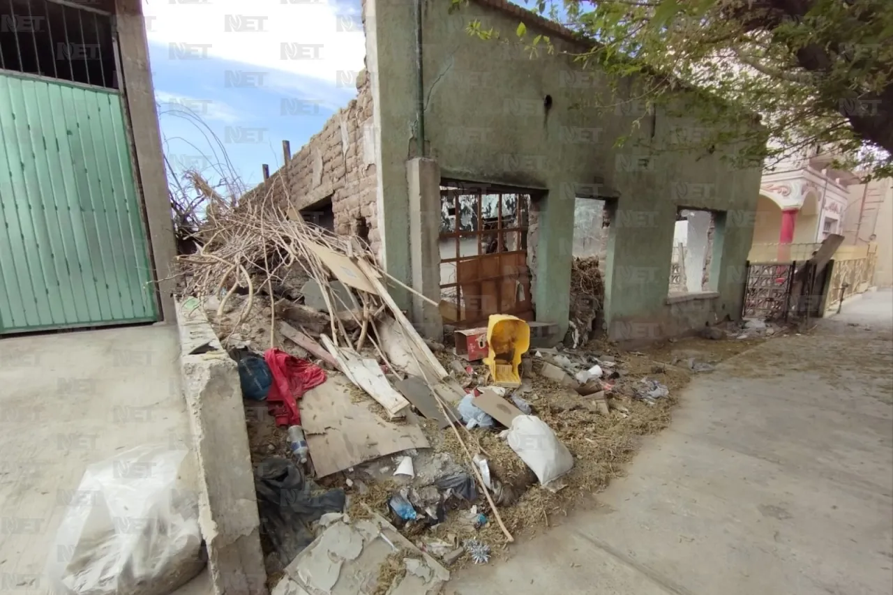 Fincas y viviendas abandonadas, consecuencias de una omisión de autoridades