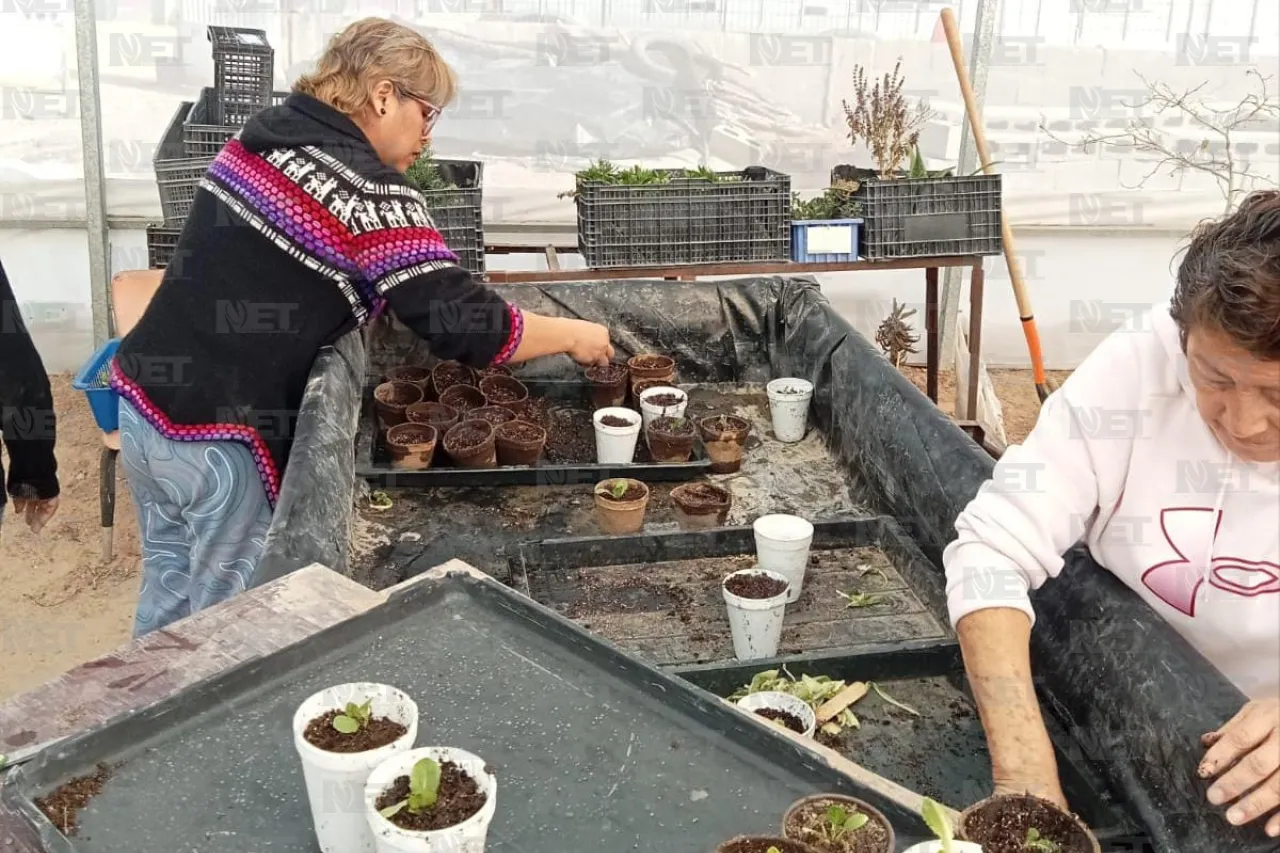 Vecinos de Campestre Virreyes aprenden a cultivar un huerto urbano