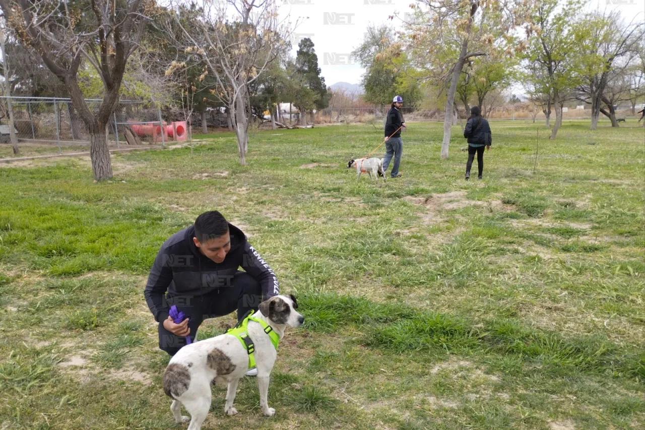 Exhorta Ecología a vigilar mascotas en festejos de Pascua en El Chamizal
