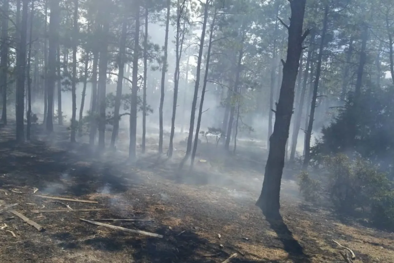 Chihuahua: Apagan 9 incendios forestales, quedan dos activos