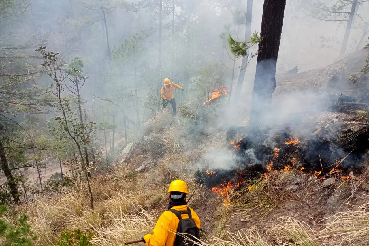 Chihuahua: Apagan 9 incendios forestales, quedan dos activos