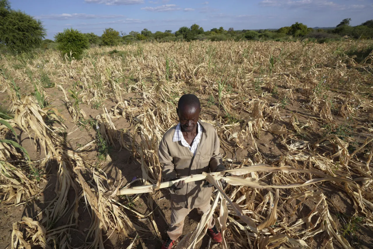 Hambre acecha a 20 millones por sequía en el sur de África