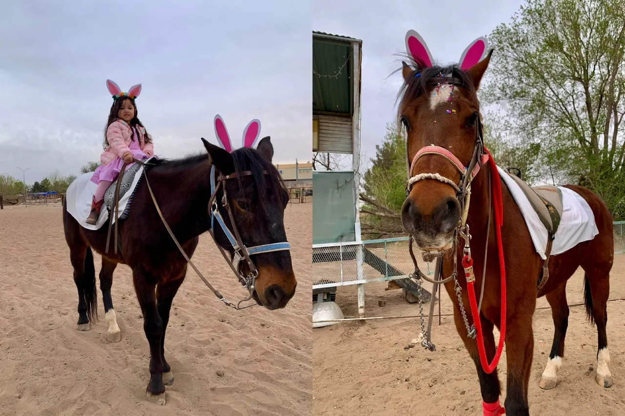 Festejan la Pascua caballos y niños de Equinoterapia Juárez