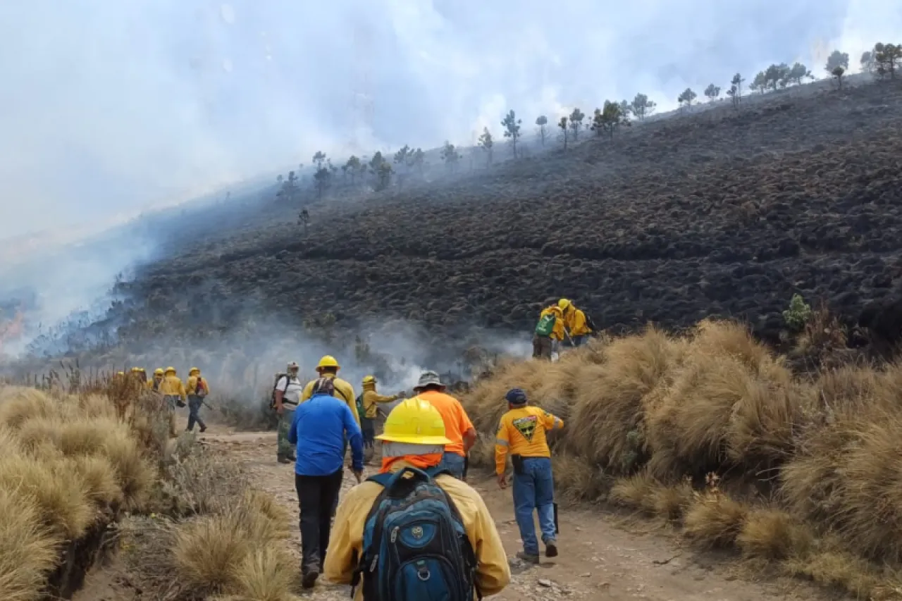 Reporta México 84 incendios forestales activos