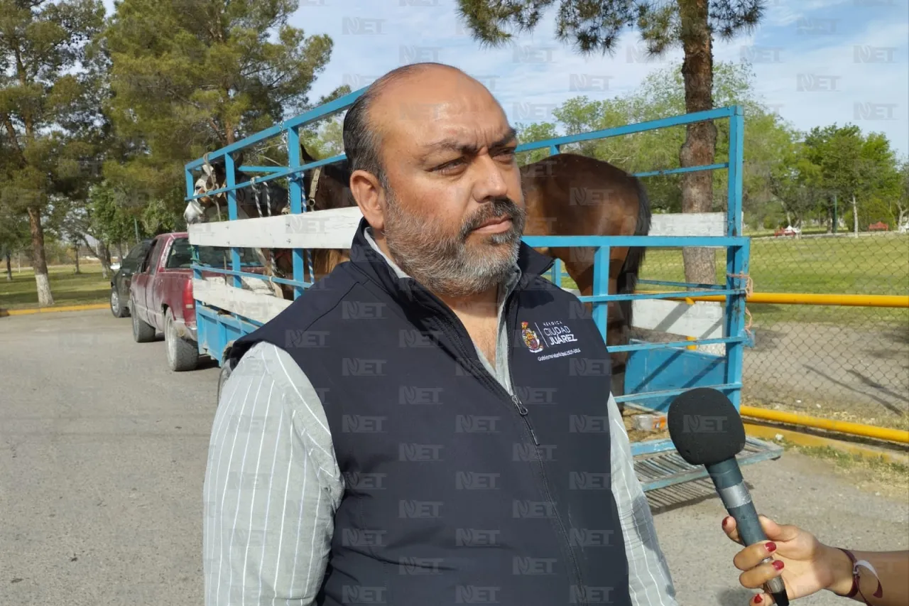 Realiza Ecología revisiones a caballos y ponis de El Chamizal