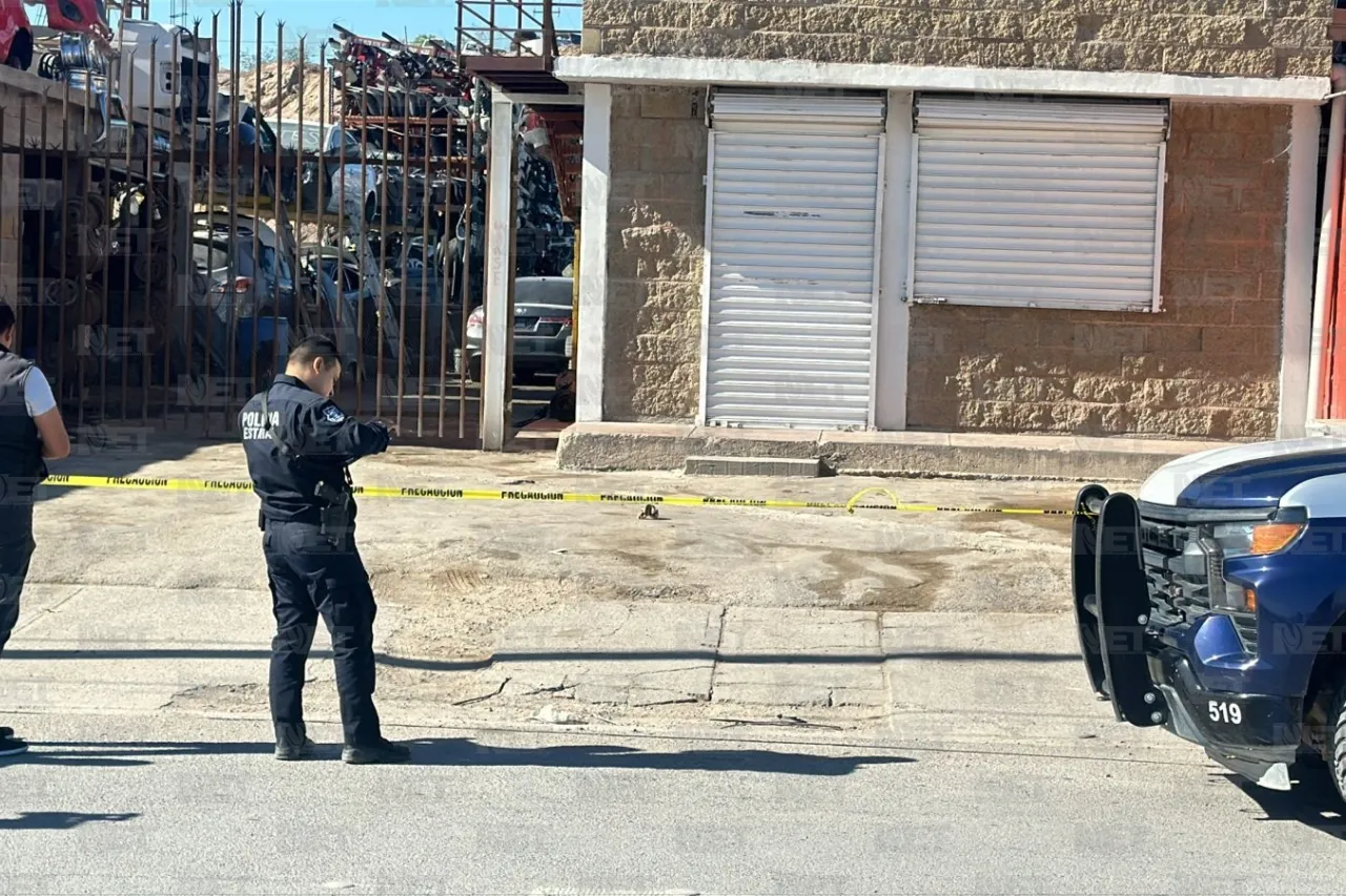 Juárez: Perros llevan cráneo a la entrada de un yonke