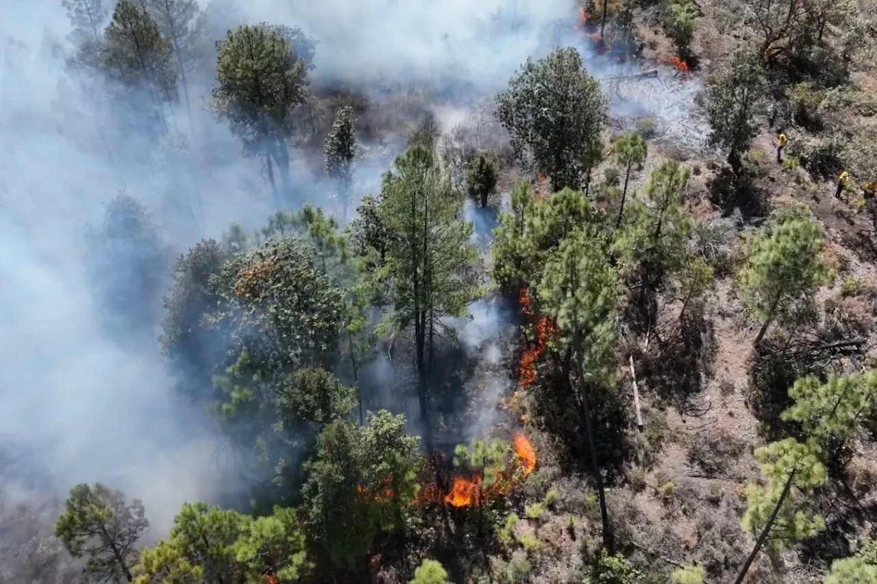 Suman más de 100 incendios forestales en Chihuahua en lo que va del año