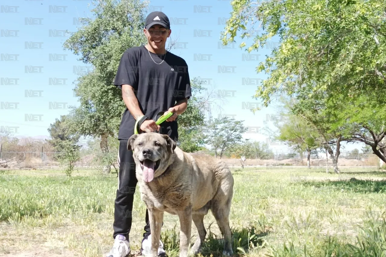 Juarenses conviven con mascotas rescatadas en ‘El Chami'