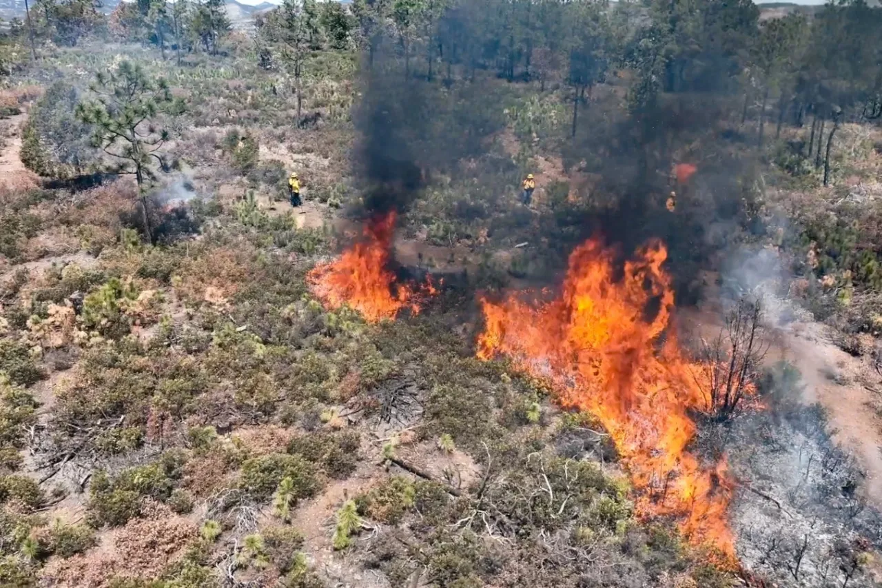 Suman más de 100 incendios forestales en Chihuahua en lo que va del año