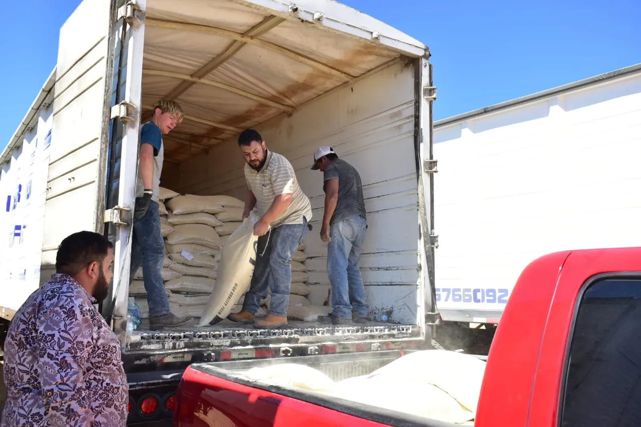 Parral: Distribuyen 120 toneladas de maíz molido para apoyar a productores 