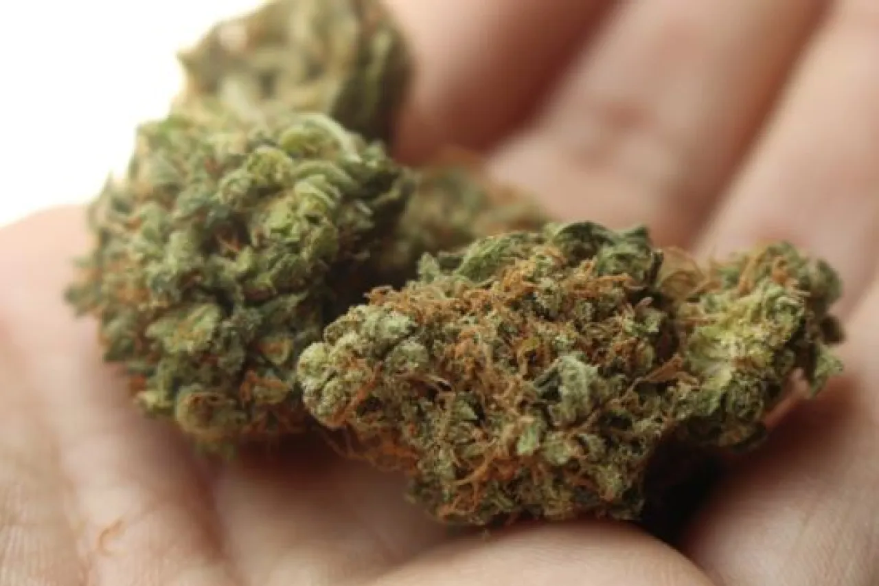 Inicia venta de marihuana para uso medicinal en Carolina del Norte
