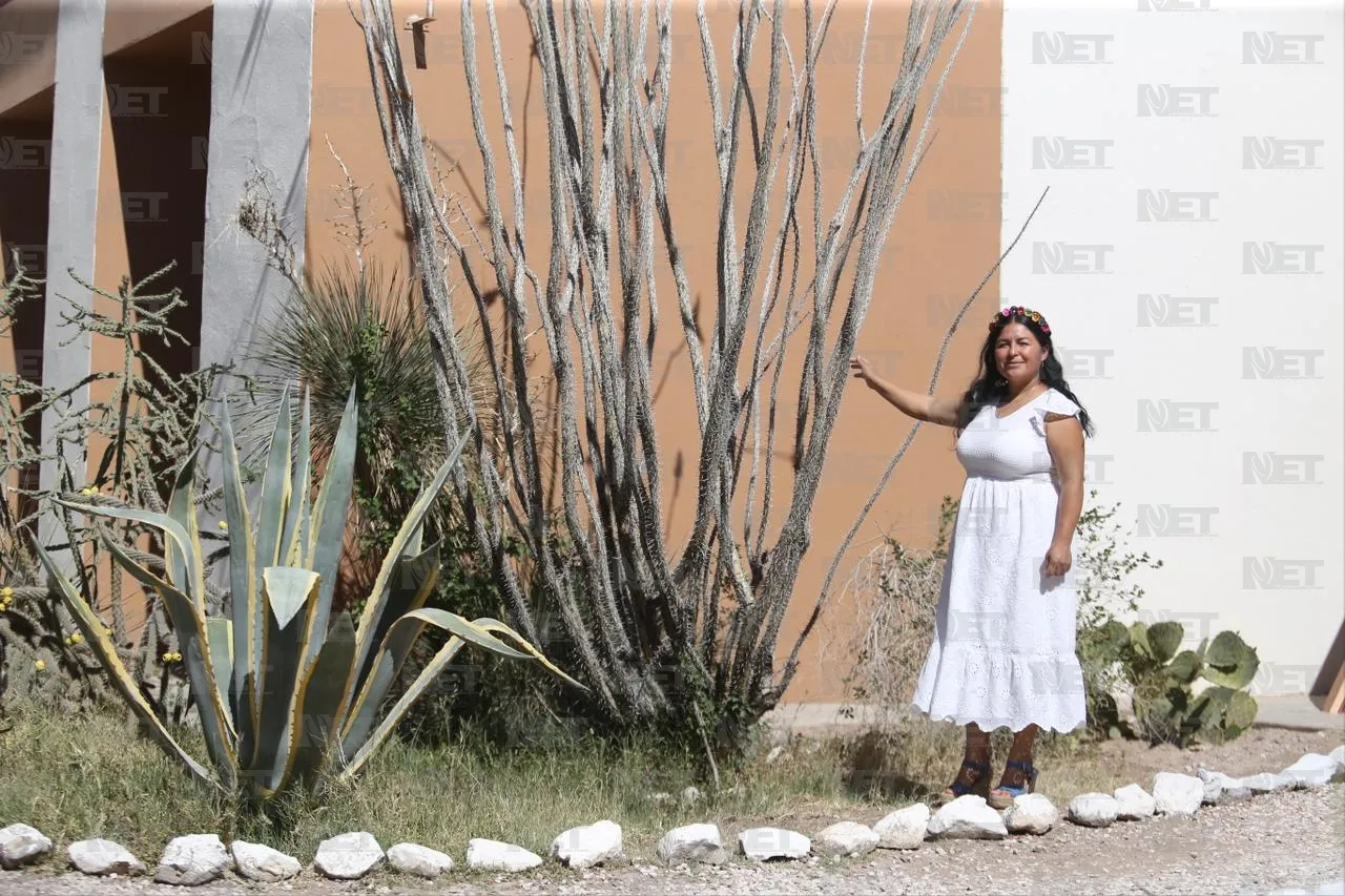 Naturaleza de Juárez y su relevancia en el Día de la Madre Tierra