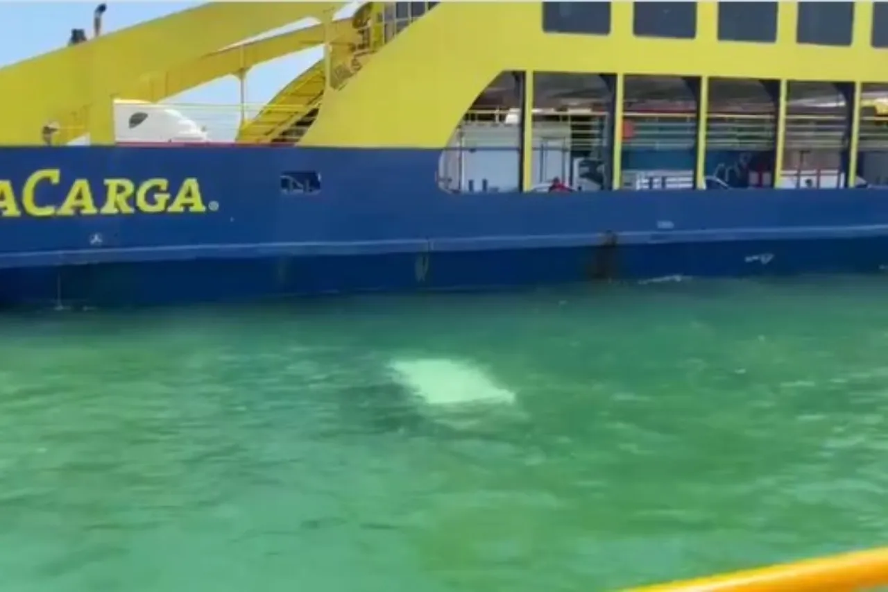 Video: Camioneta de paquetería cae al mar en Quintana Roo