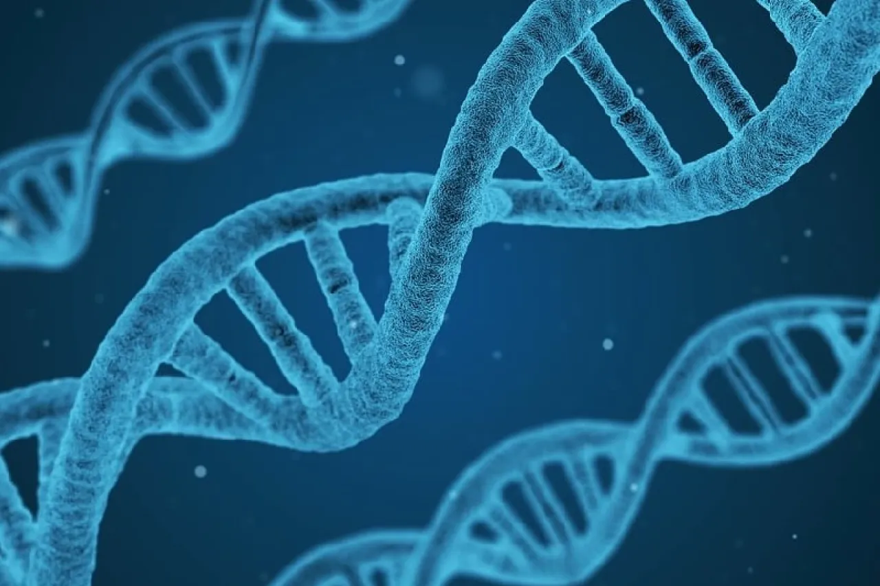 Descubriendo los secretos de la vida: Día Internacional del ADN