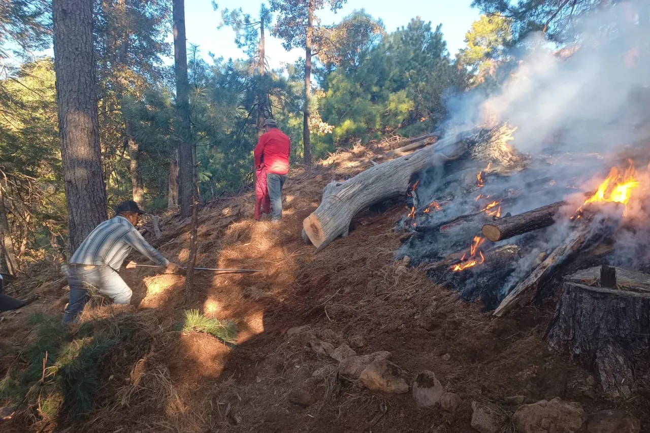 Combaten 15 incendios forestales activos en Chihuahua