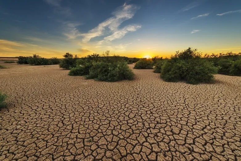 Se perderían 200 mil hectáreas por falta de lluvias en Chihuahua
