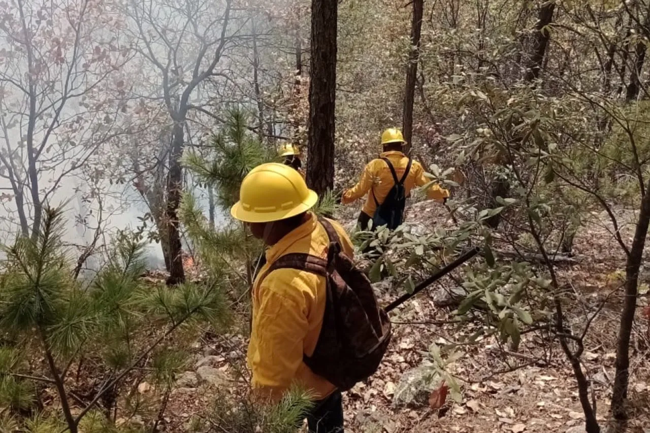 Continúa combate a 7 incendios forestales en la Sierra de Chihuahua
