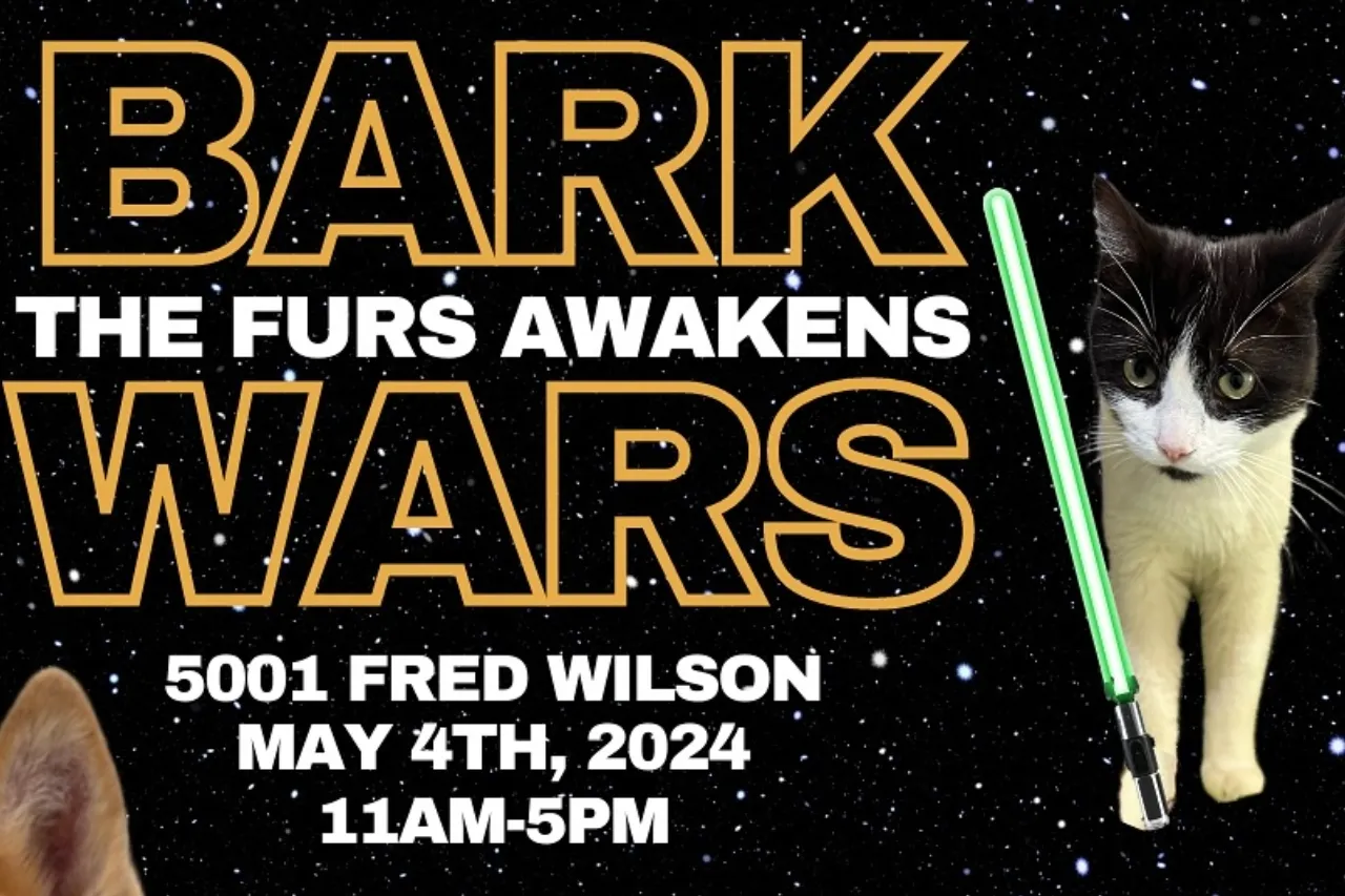 El Paso: Invitan a evento de 'Star Wars' para mascotas