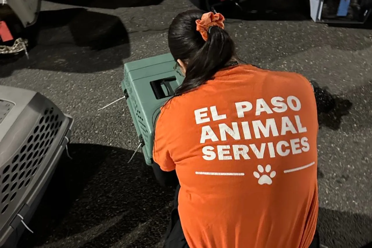 El Paso Animal Services recibe el premio de empoderamiento educativo de SISD