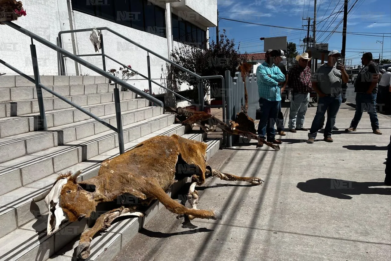 Exigen ganaderos de Chihuahua apoyo del gobierno federal