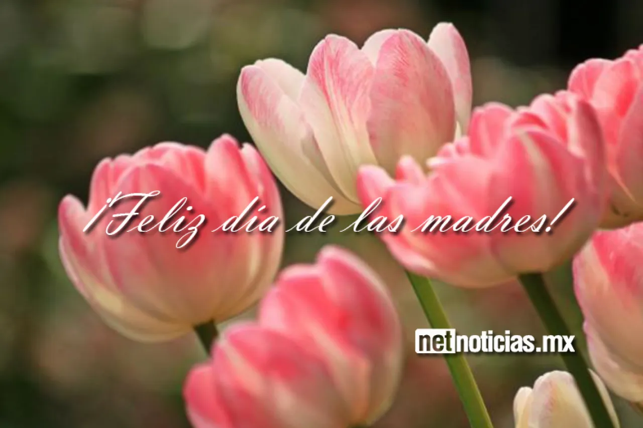 ¡Feliz Día de las Madres te desea NetNoticias!