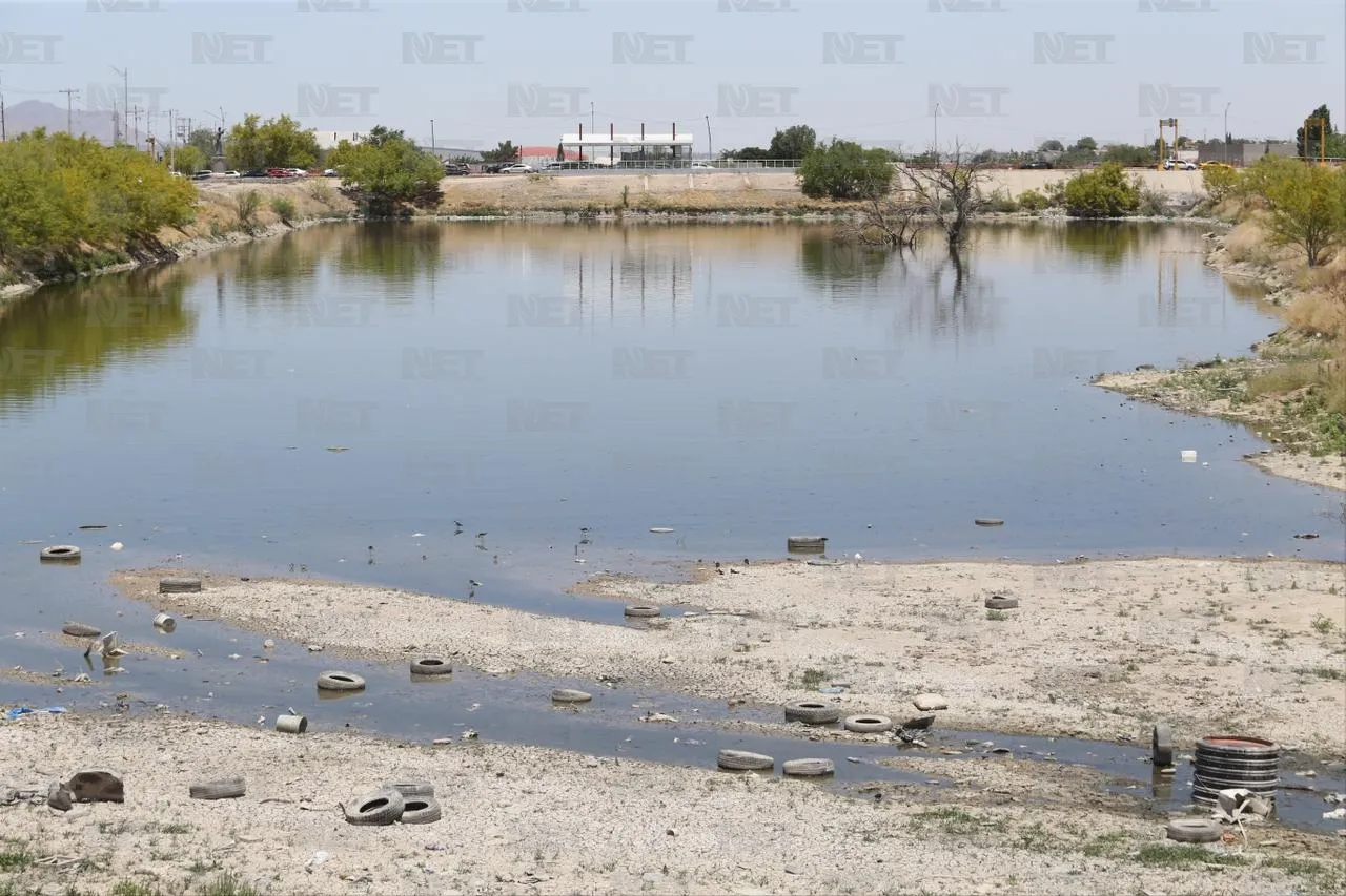 Juárez: Entra a dique para refrescarse, pensaban que se ahogaba