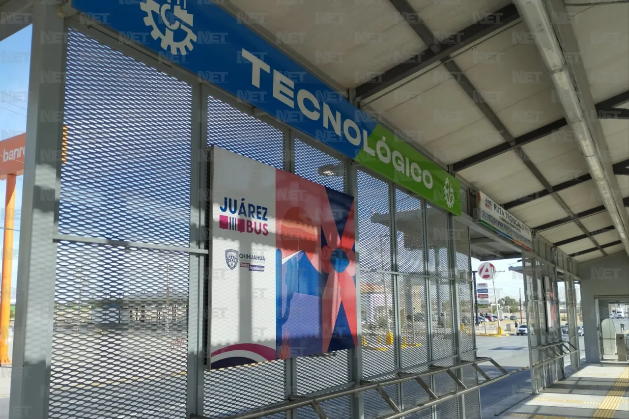 Jazmín Ibarra Trejo