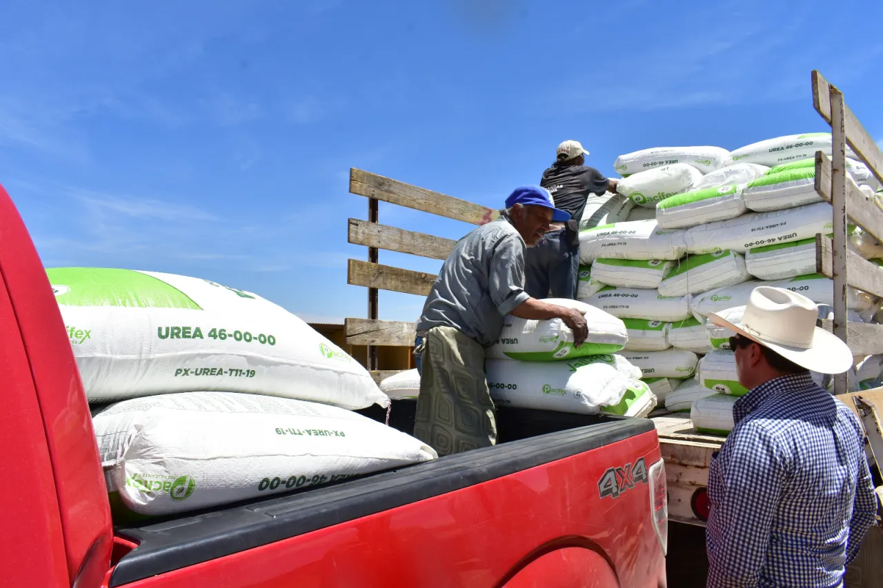 Distribuyen 20 toneladas de fertilizante a productores de Parral