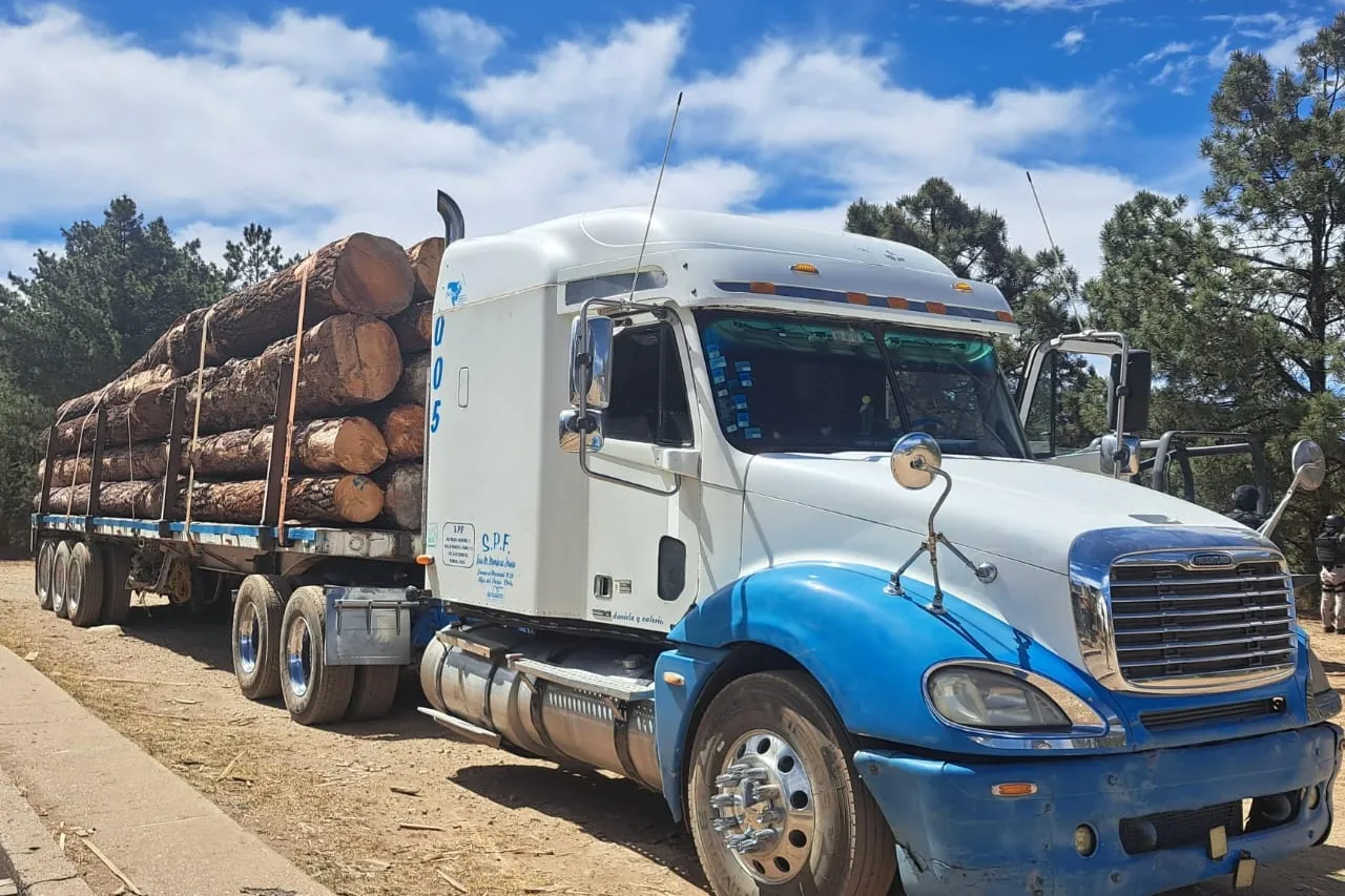 Aseguran camión con madera y un 'Cuerno de Chivo' en Guadalupe y Calvo