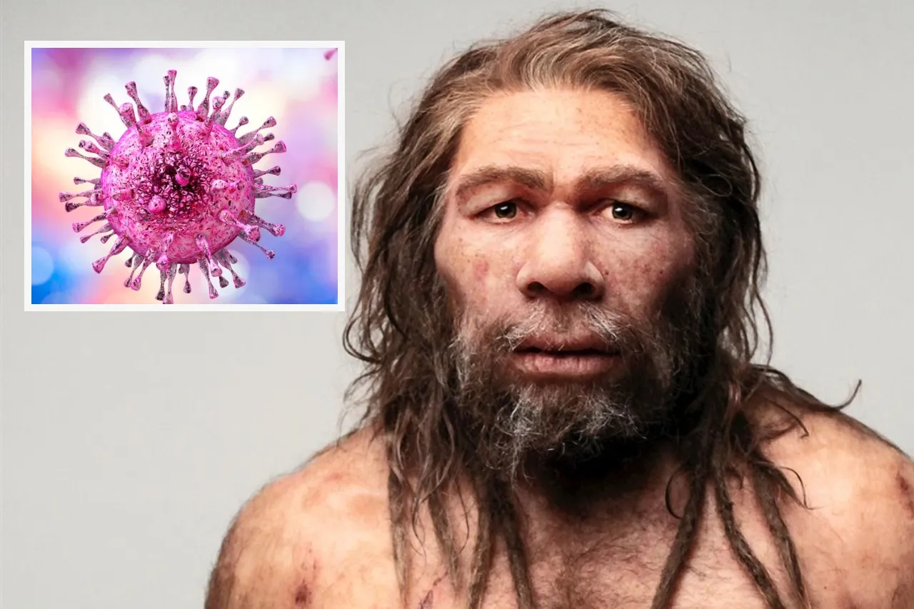 Buscan 'resucitar' virus del herpes de 50 mil años hallado en un neandertal