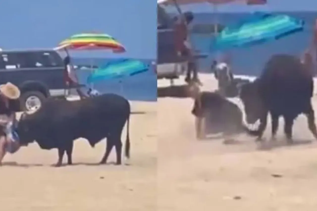 Video: Toro ataca a mujer en playa de Los Cabos