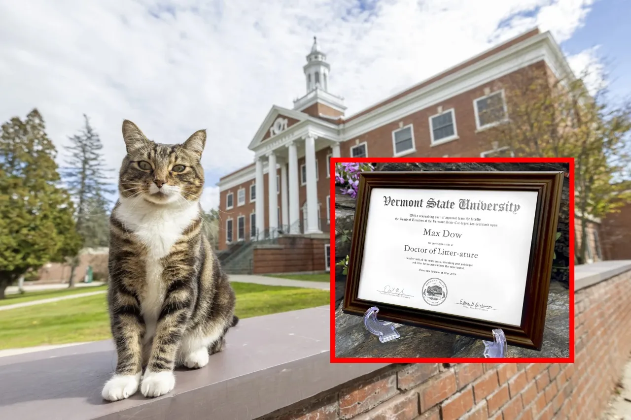 El gato Max es ahora 'doctor en Literatura' de la Universidad Estatal de Vermont