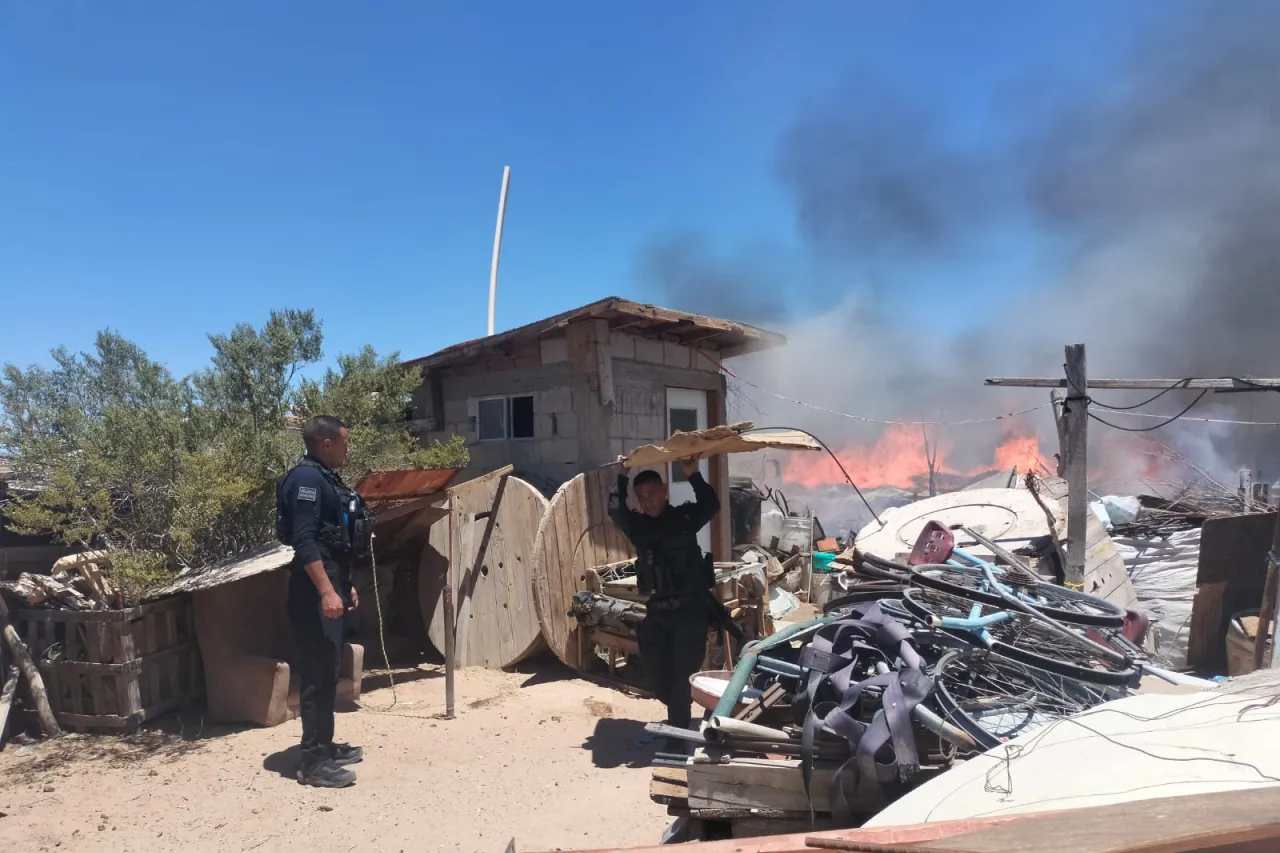 Policías de Juárez rescatan a gatito atrapado en incendio