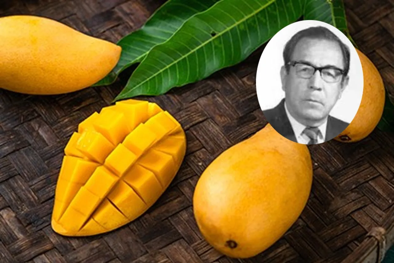 Mango Ataulfo, el regalo de un trabajador de Chiapas para el mundo