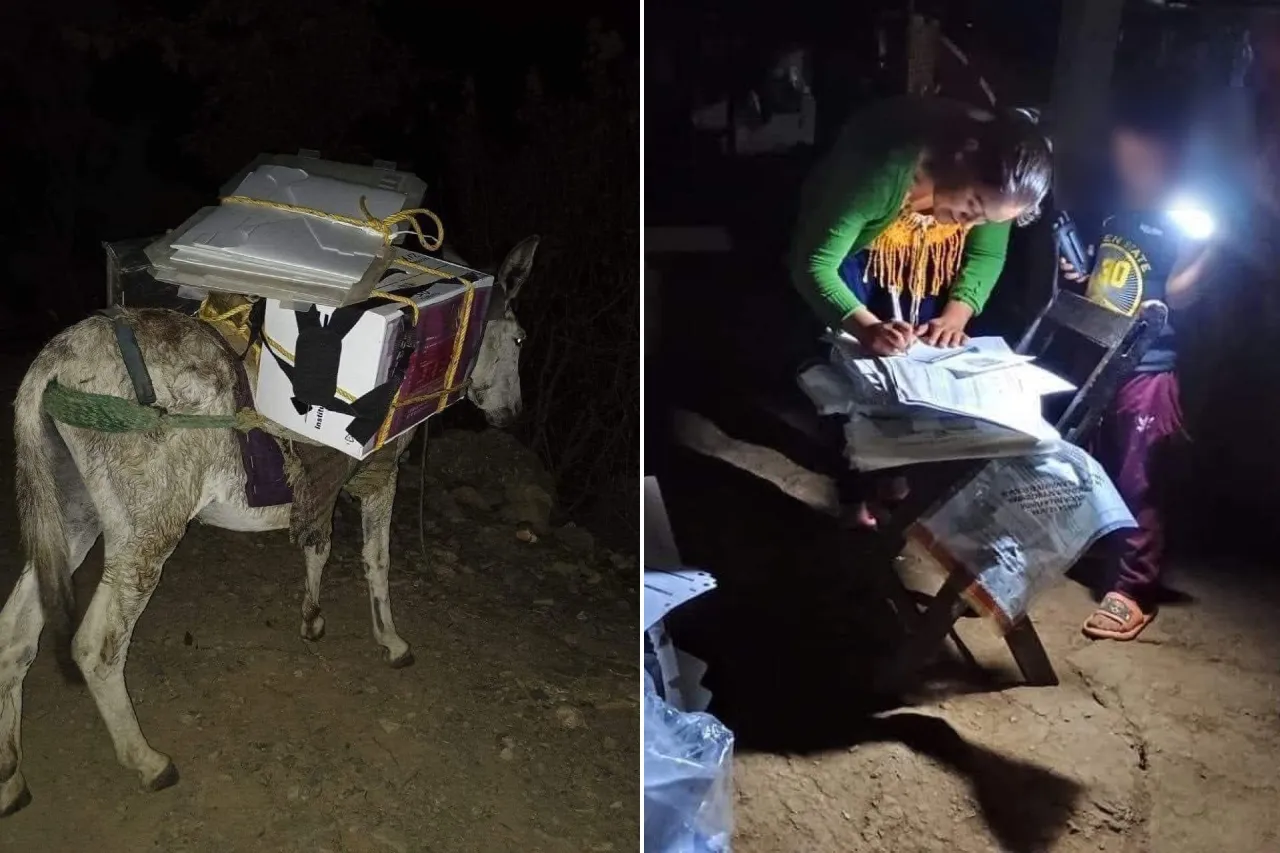 'Pasión por su trabajo'; lleva boletas en burro hasta comunidad en Oaxaca